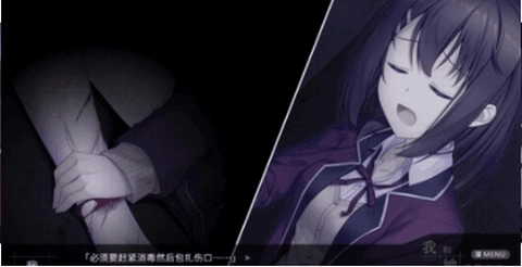 我和她的世界末日手机版(2)