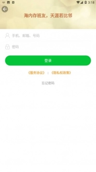 班比图4