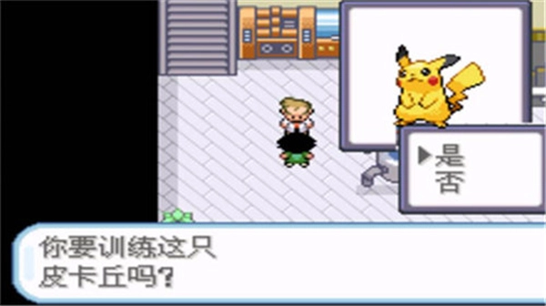 口袋妖怪圣灰汉化版图2