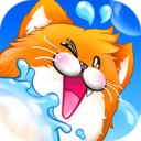 泡泡猫