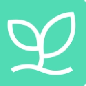 班比