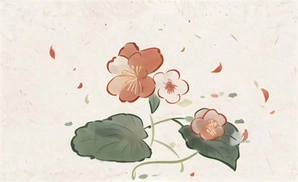 海棠文学版本合集