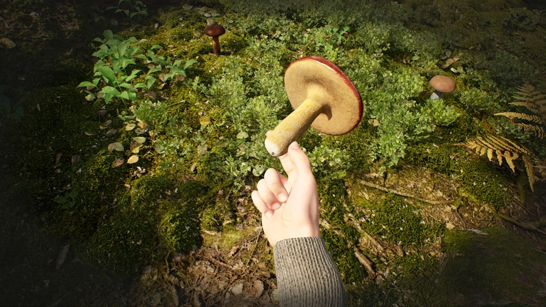 采蘑菇模拟游戏《蘑菇猎人模拟器》上架Steam Q3发售