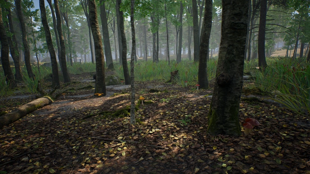 采蘑菇模拟游戏《蘑菇猎人模拟器》上架Steam Q3发售