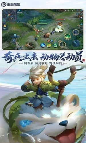 王者荣耀帧率图3