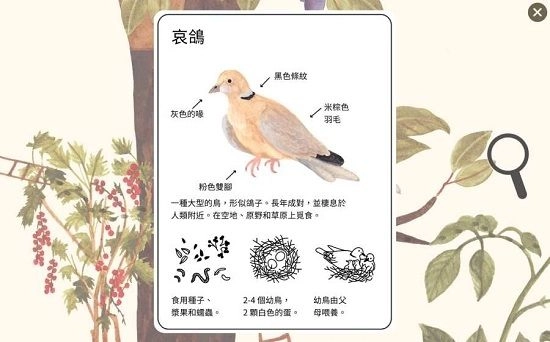 小棕鼠的自然生态百科（Little Mouses Encyclopedia） 图2