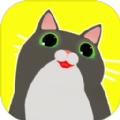 我需要猫咪