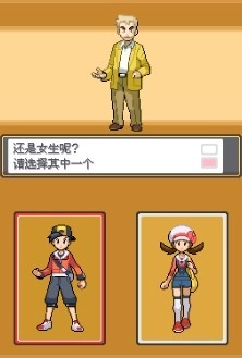 口袋妖怪心金汉化版(1)