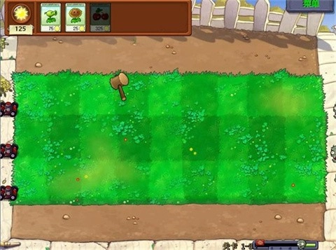 植物大战僵尸锤版图1