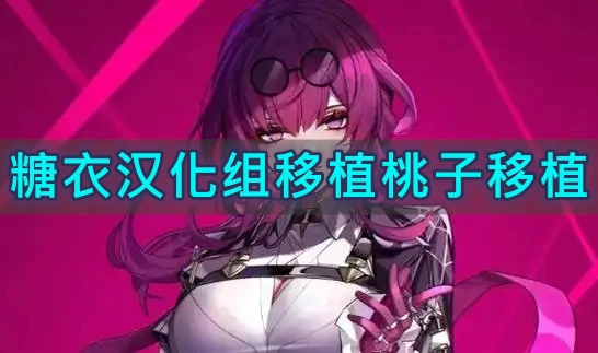 糖衣汉化组移植桃子移植