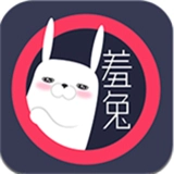 羞兔动态壁纸手机版