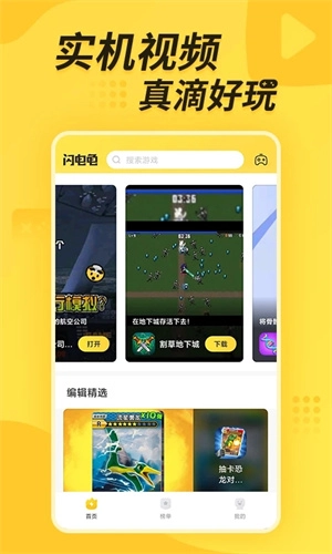 闪电龟图5