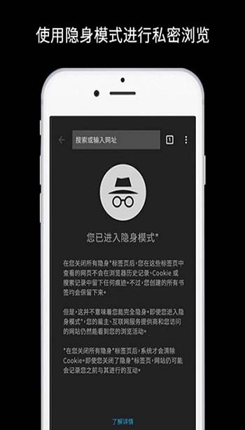 谷歌chrome浏览器(4)