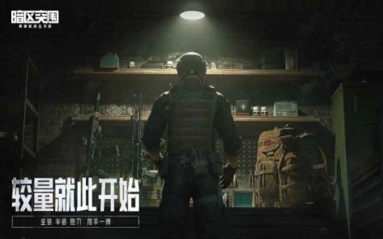 暗区突围体验服官网版(2)