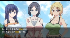 夏日狂想曲2.04汉化安卓(3)