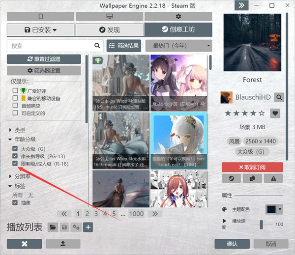 Wallpaper Engine最新pc版本开启分级壁纸教程3