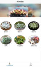 嘟嘟多肉植物鉴图3