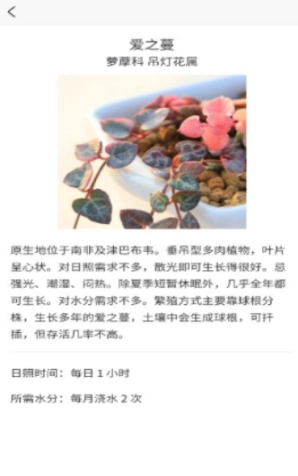 嘟嘟多肉植物鉴图2