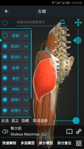医维度图3