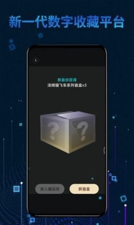 麦奇数字藏品图1