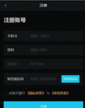 极光艺术图3