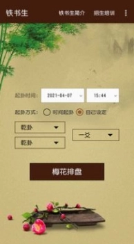 铁书生梅花图1