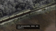 荒野探险完整版图2