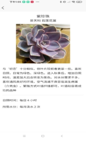 嘟嘟多肉植物鉴图1