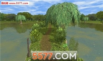 3DCARP图4