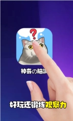 最神奇的脑洞手机版图3