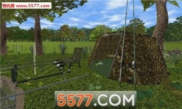 3DCARP图1