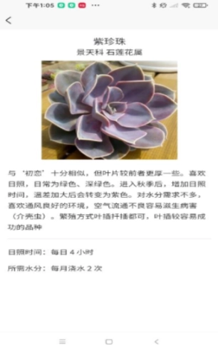 嘟嘟多肉植物鉴图4