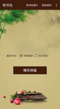 铁书生梅花图2