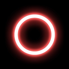 录丸