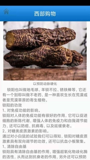 西部特产商城图2