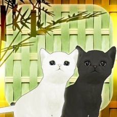 小猫与七夕之夜正版