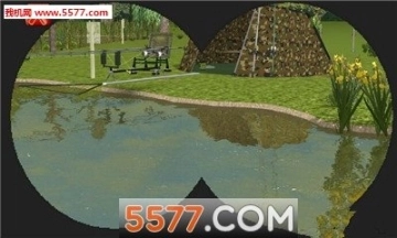3DCARP图3