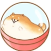 面包胖胖犬最新版