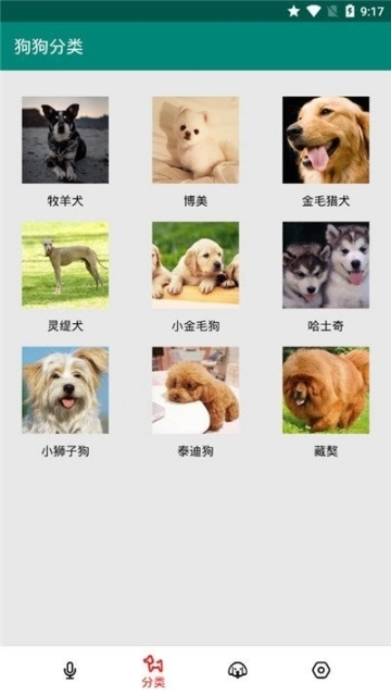 汪汪狗语翻译图1