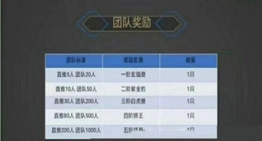玄猫分红版图1