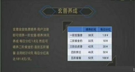 玄猫分红版图2
