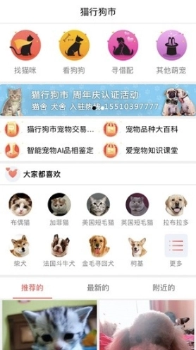 猫行狗市宠物交易市场图3