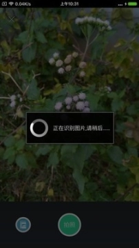 农歌图5