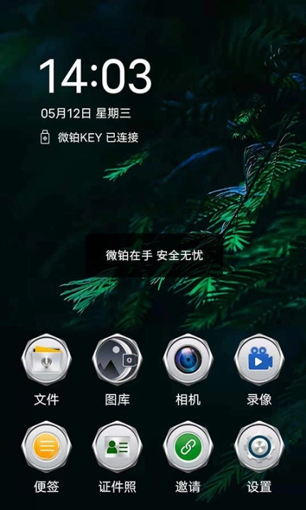 微铂图1