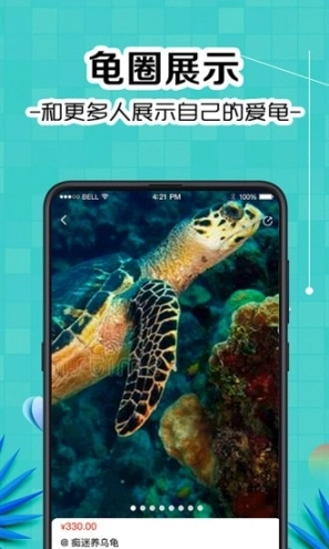 龟友圈图2