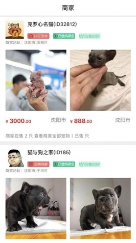 猫行狗市宠物交易市场图2