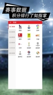 彩猫体育图2