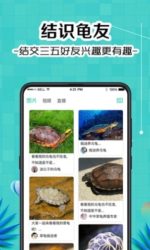 龟友圈图1