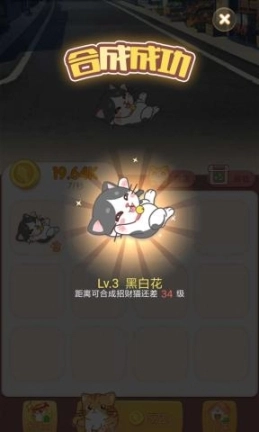 淘猫猫图1