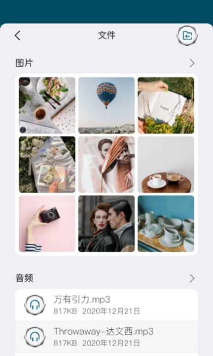 微铂图3